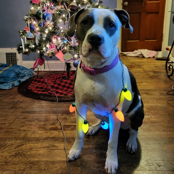 Meet your Posher, Samantha - Picture 8 of 8